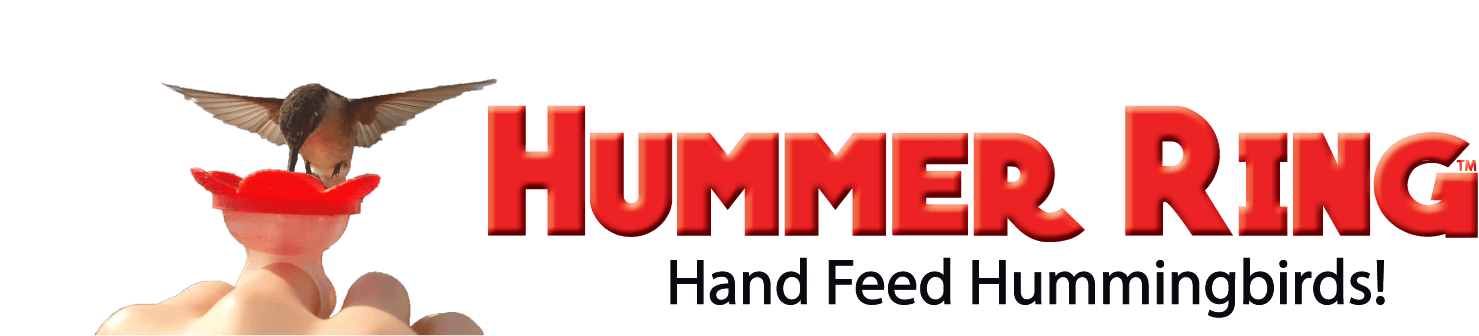 Hummer Ring - hand feeding humming birds